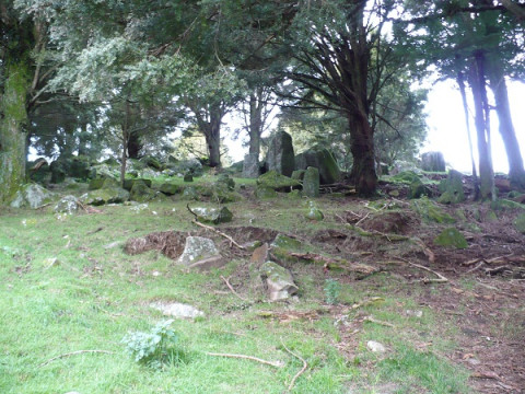 Natural Basalt Stone Feild